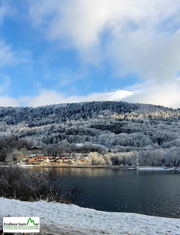 Studio 05 Saint Honore 1500, Vue Montagne Et Lac, 2 Personnes, Serie Anthracite Netflix Экстерьер фото